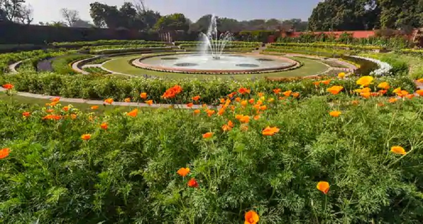 Mughal Garden: आज से आम जनता के लिए खुला मुगल गार्डन, ऐसे करें बुकिंग Mughal Garden: आज से आम जनता के लिए खुला मुगल गार्डन, ऐसे करें बुकिंग